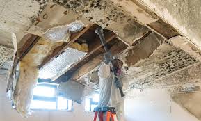 Best Mold Prevention Services  in East Peoria, IL